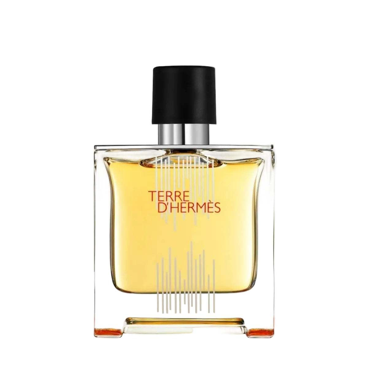 Bočica parfema Hermes Terre d'Hermes Flacon  100ml za Muškarce